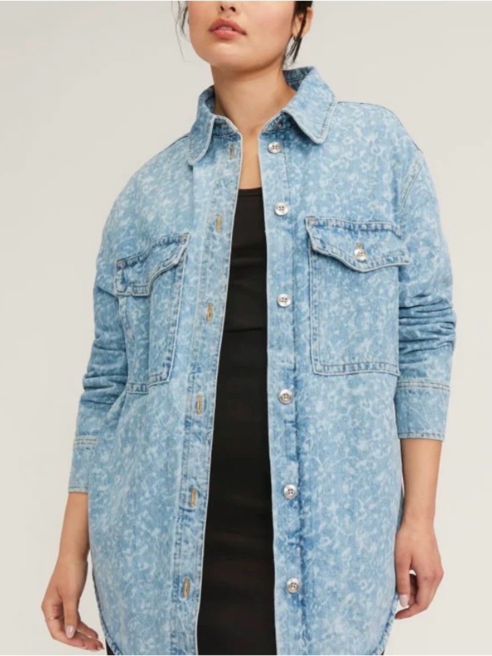Everlane The Denim Overshirt